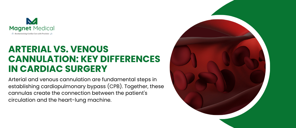 Arterial vs. Venous Cannulation: Key Differences in Cardiac Surgery