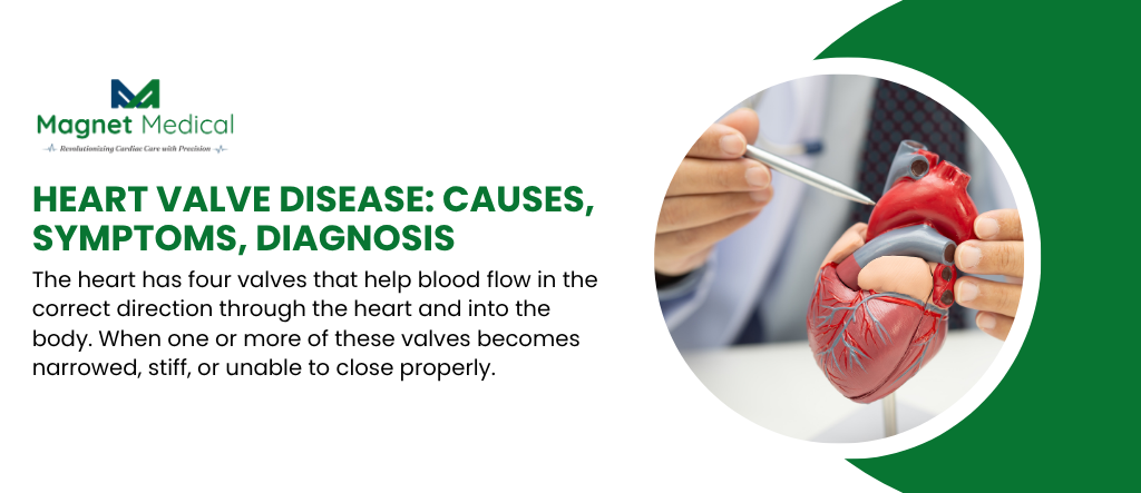 Heart Valve Disease: Causes, Symptoms, Diagnosis