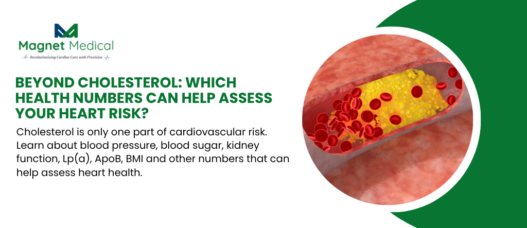 Beyond Cholesterol: Which Health Numbers Can Help Assess Your Heart Risk?
